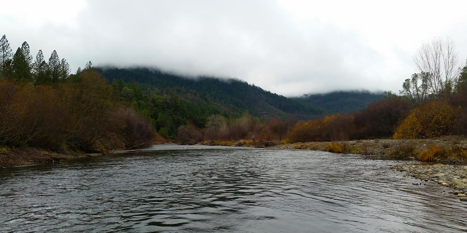 The Trinity River, where steelhead live. 