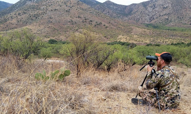 John Stallone glassing for deer