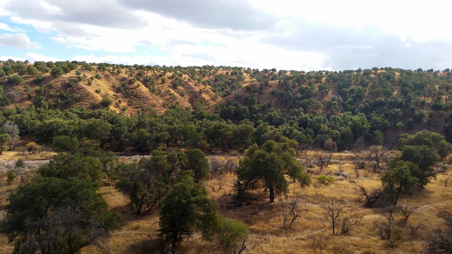 A canyon in Arizona where I shot my Coues deer. 