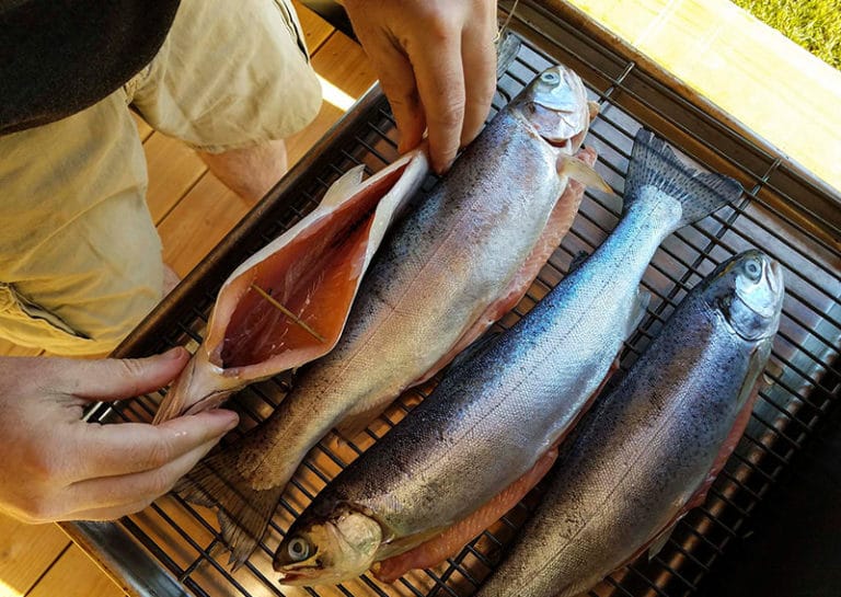 Smoked Trout Recipe - Opening Trout Cavity 768x545