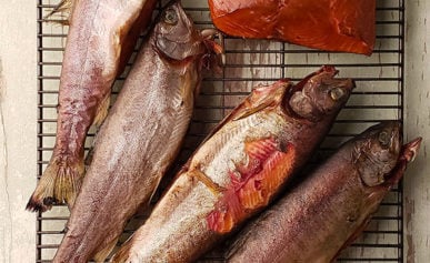Finished smoked trout recipe