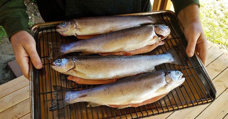 Smoked Trout Recipe How To Smoke Whole Trout