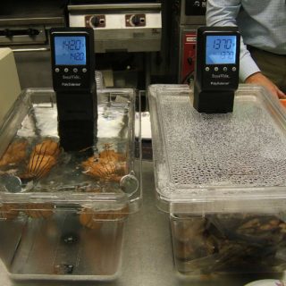 Two sous vide machines, cooking potatoes.