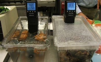 Two sous vide machines, cooking potatoes.