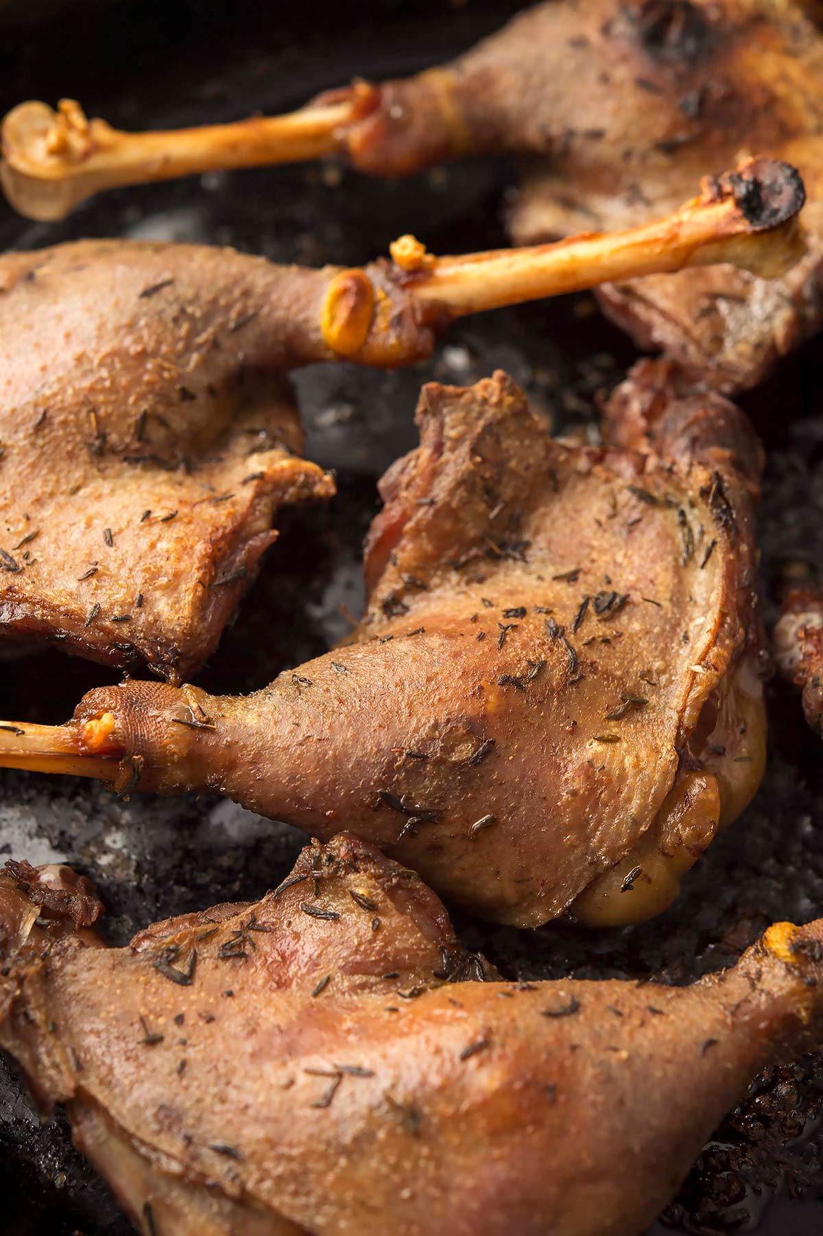 Close up of duck confit done with goose legs.