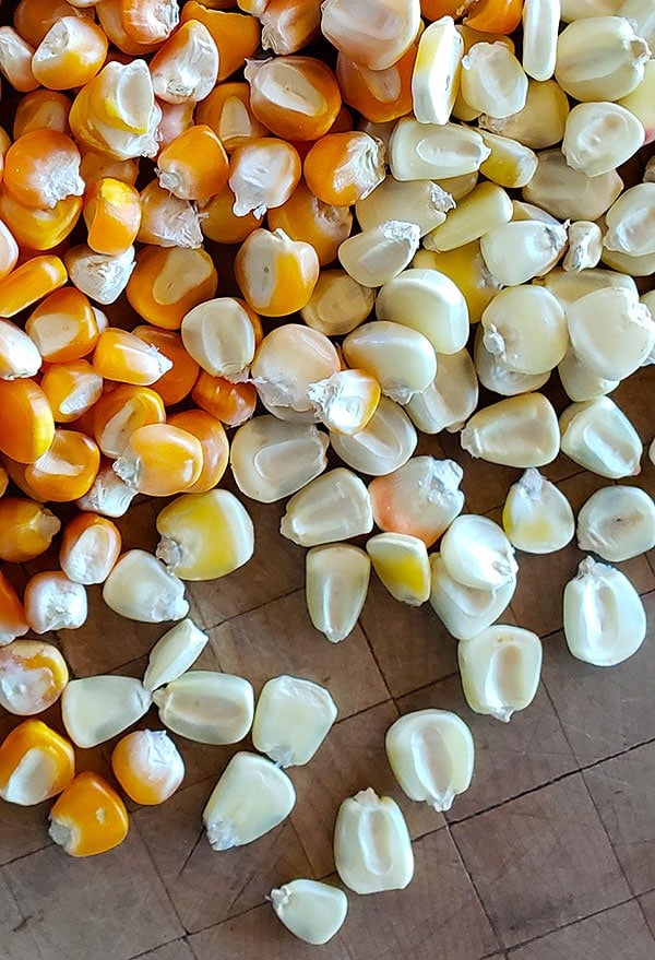 heirloom Mexican corn for pozole rojo