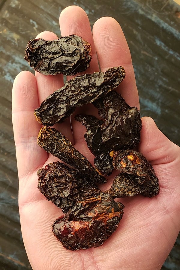 dried chile morita