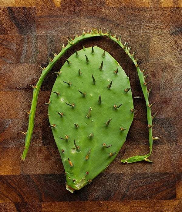 Trimming the edges of nopales. 