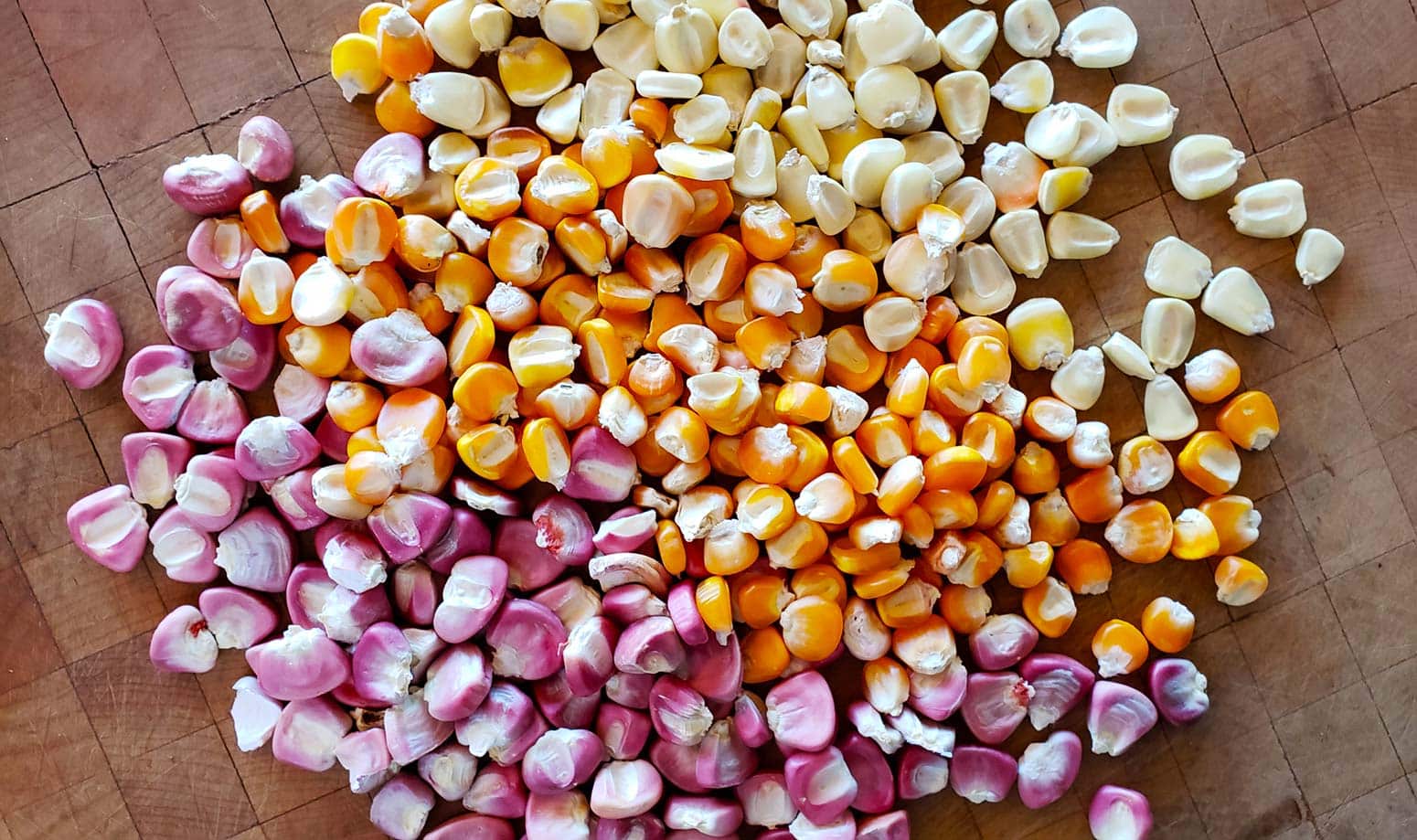 How to Make Nixtamal - How to Make Hominy Corn | Hank Shaw