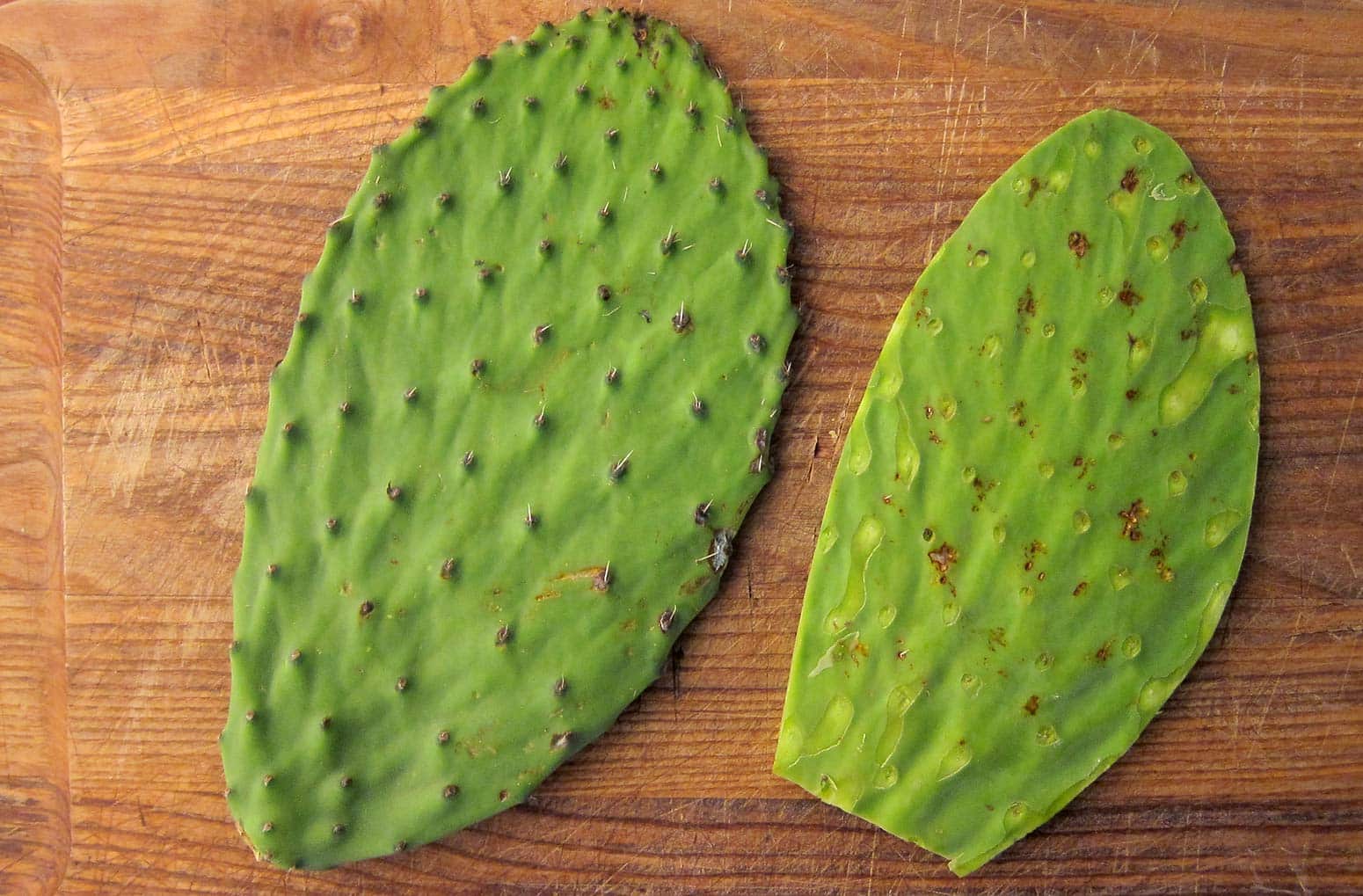 Cactus Cleaner Removing thorns from nopales 