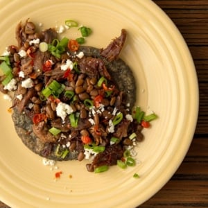 Squirrel carnitas on a tortilla