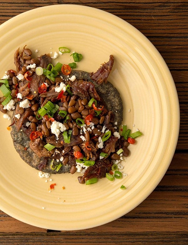 https://honest-food.net/wp-content/uploads/2019/09/squirrel-carnitas-recipe.jpg