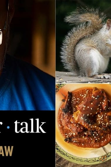 Squirrel podcast cover art.
