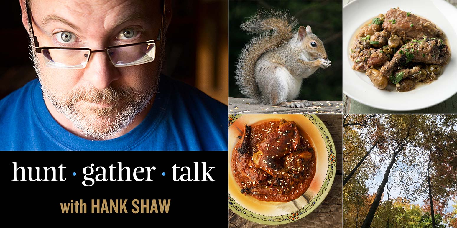 Squirrel podcast cover art. 