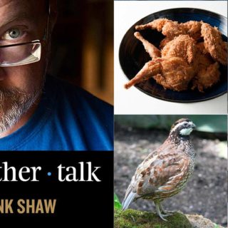 Bobwhite quail podcast cover art.