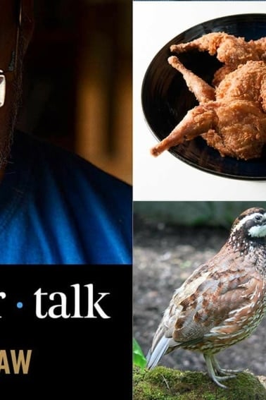 Bobwhite quail podcast cover art.