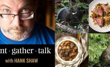 Hank Shaw podcast sooty grouse