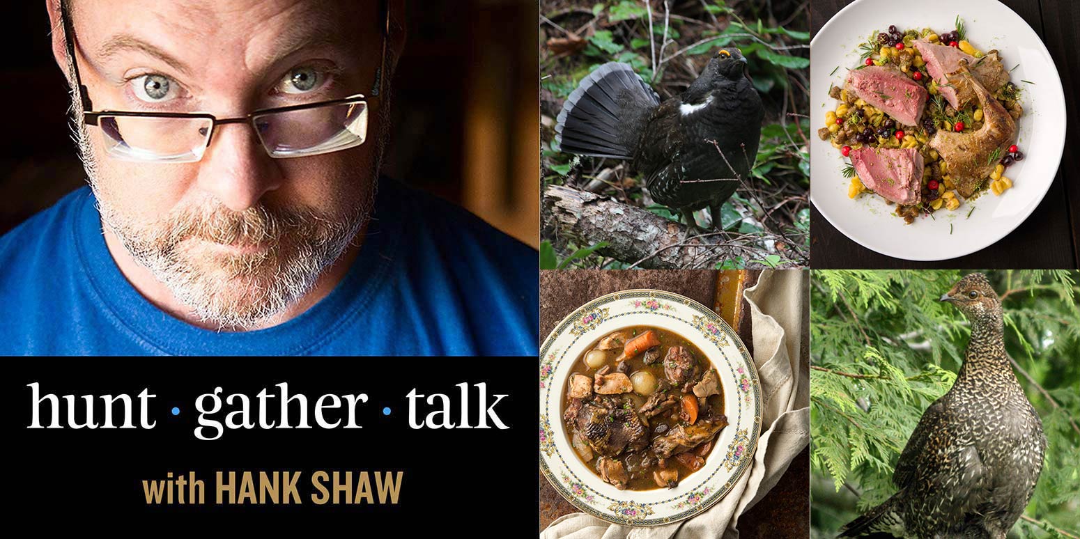 Hunt Gather Talk: Sooty Grouse