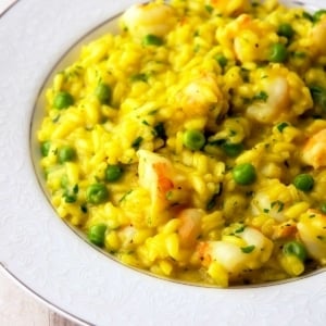 Closeup of a bowl of shrimp risotto