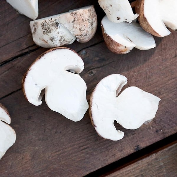 Pretty porcini mushrooms on a table. 