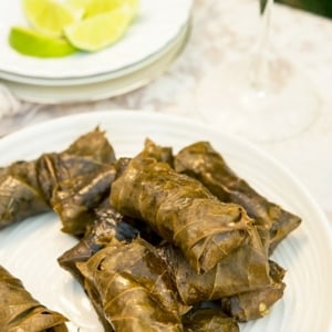 Grape leaf tamales close up