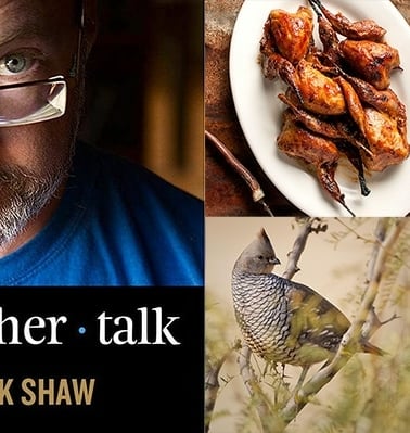 Hank Shaw podcast art scaled quail