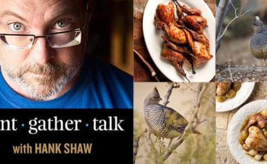 Hank Shaw podcast art scaled quail