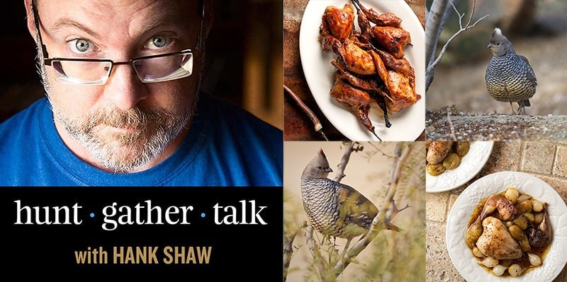 Hank Shaw podcast art scaled quail