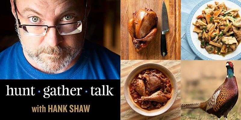 Hunt Gather Talk: Pheasants and Pheasant Hunting