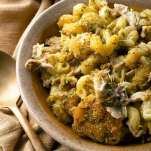 Closeup of green chile mac and cheese in a bowl