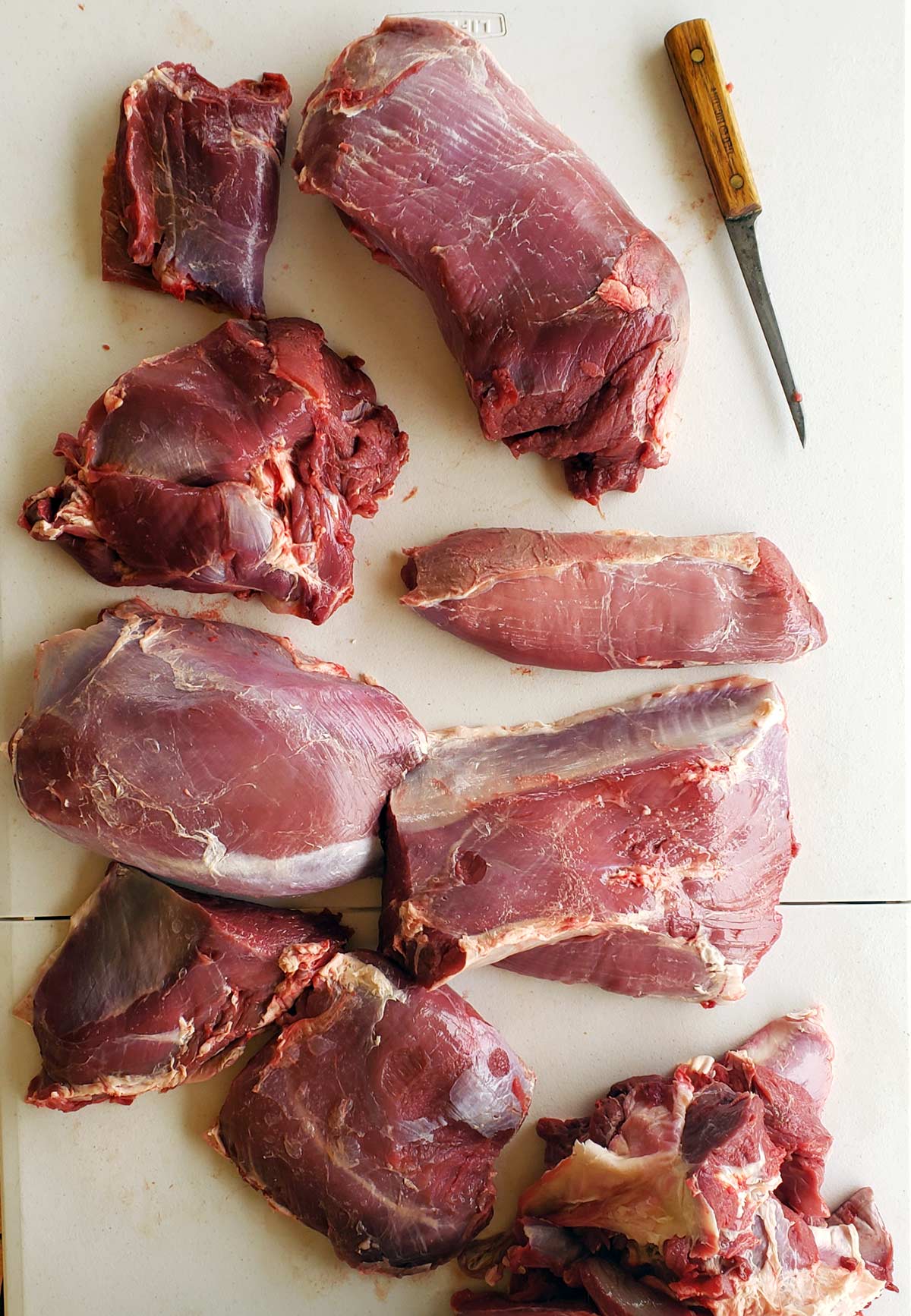 How to Tell If Rabbit Meat is Bad 