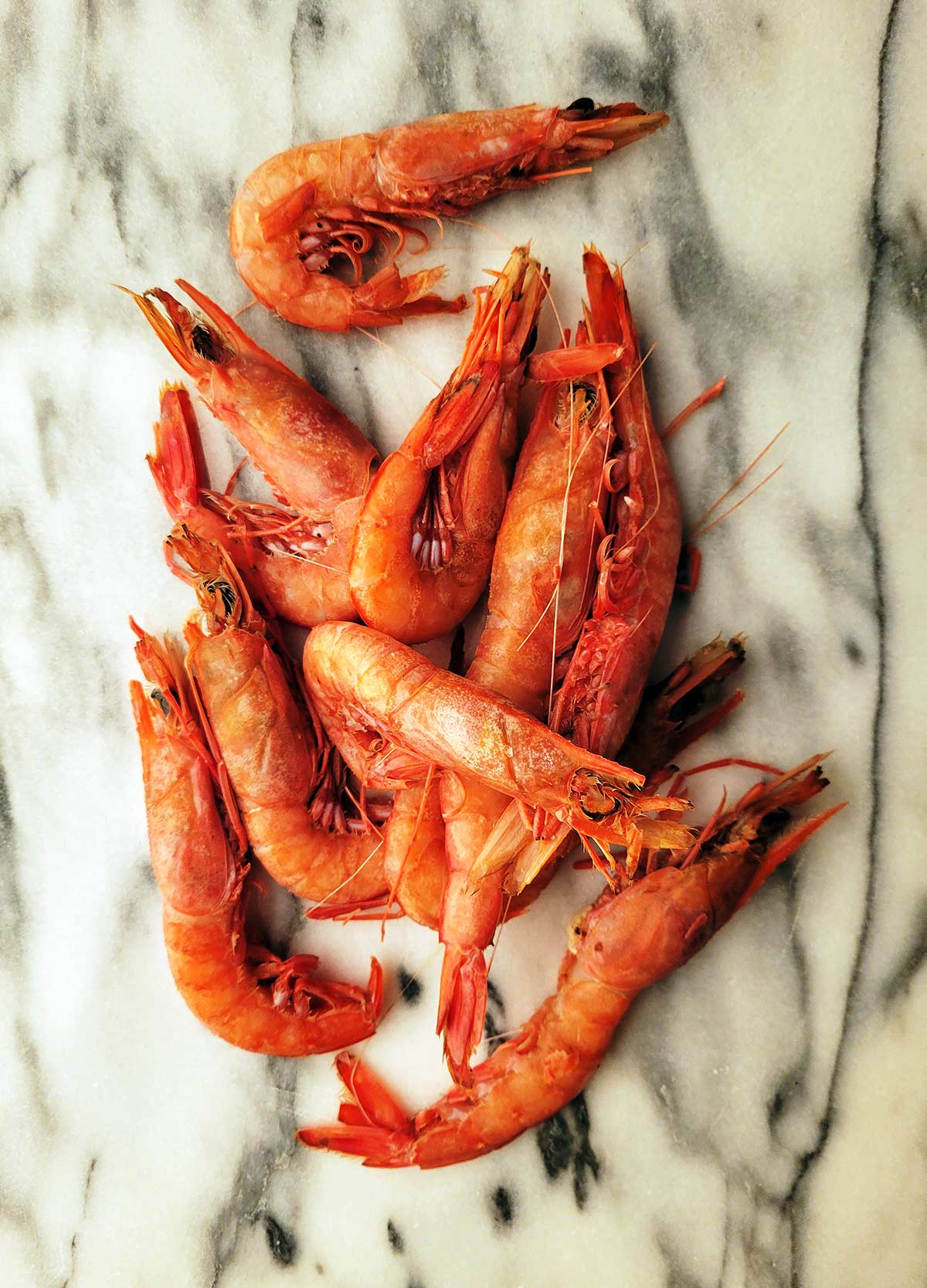 Pretty royal red shrimp, uncooked on a piece of marble.