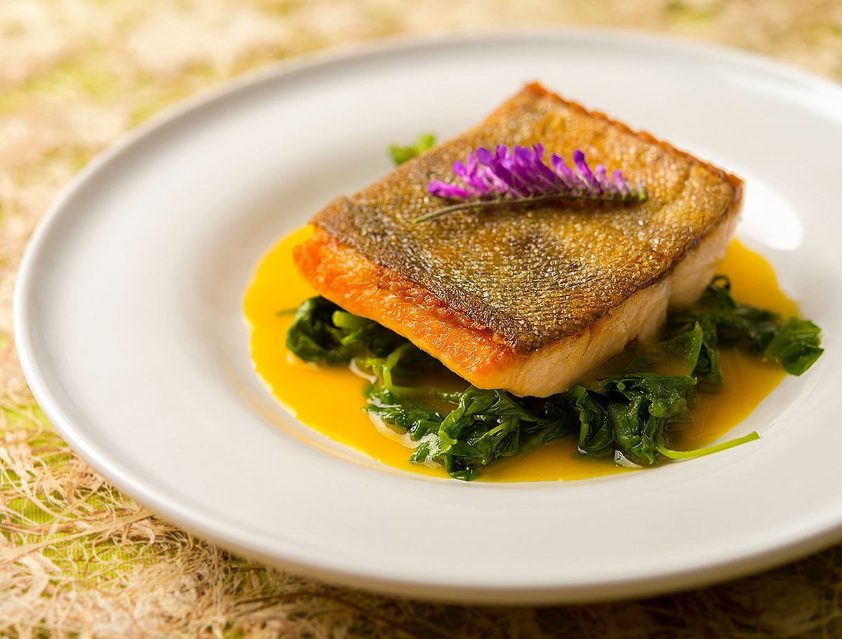 trout with orange saffron sauce and greens on a plate. 