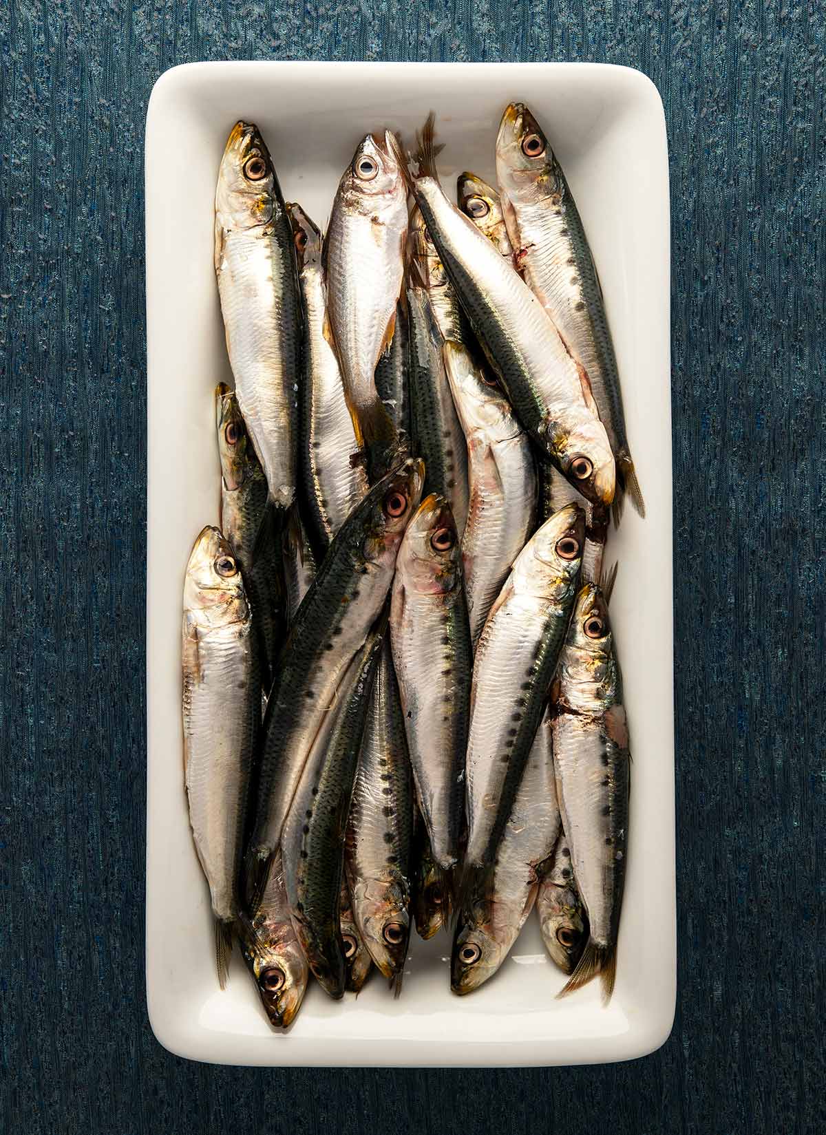 A plate of Pacific sardines