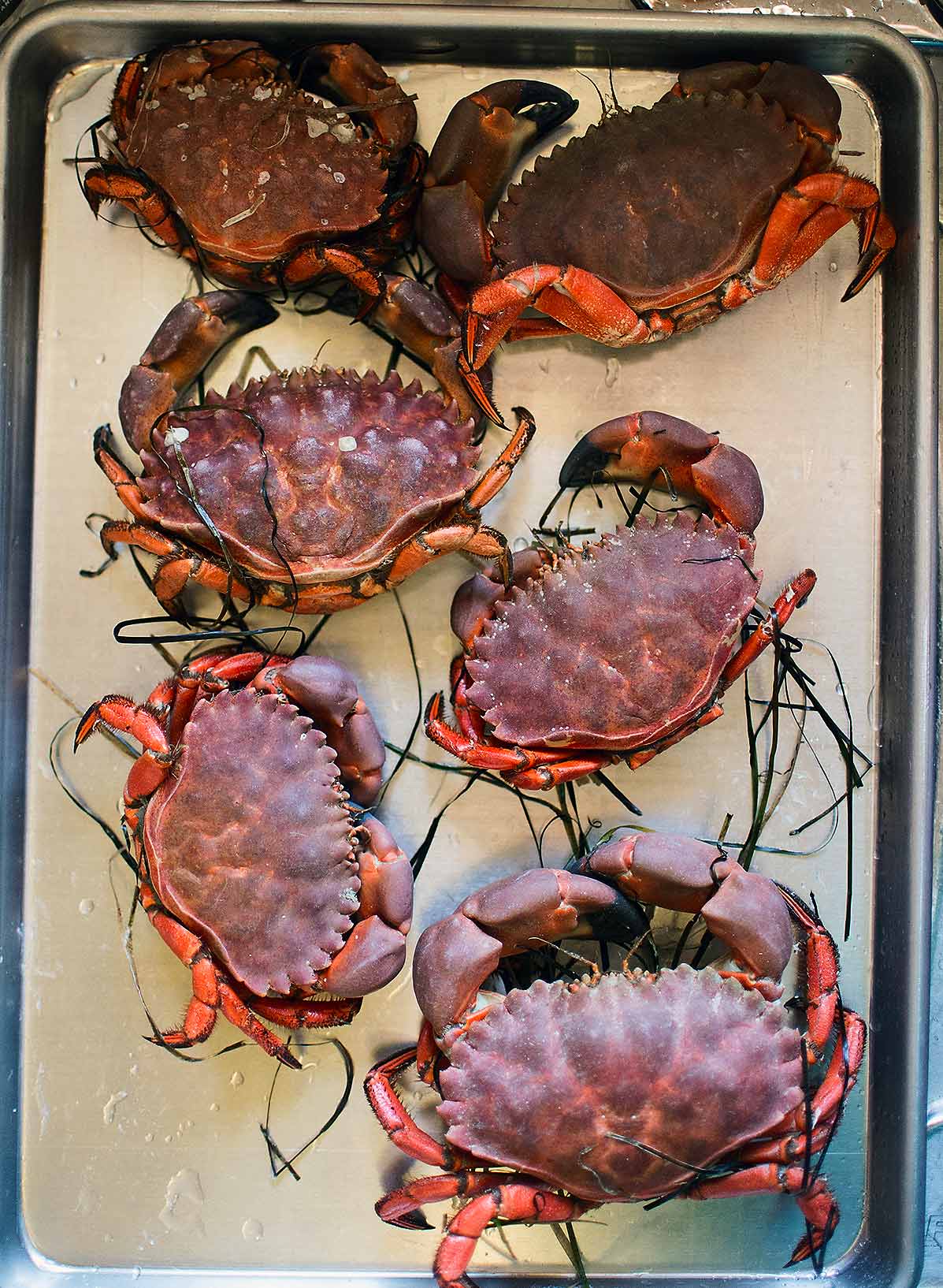 A tray of cooked crabs