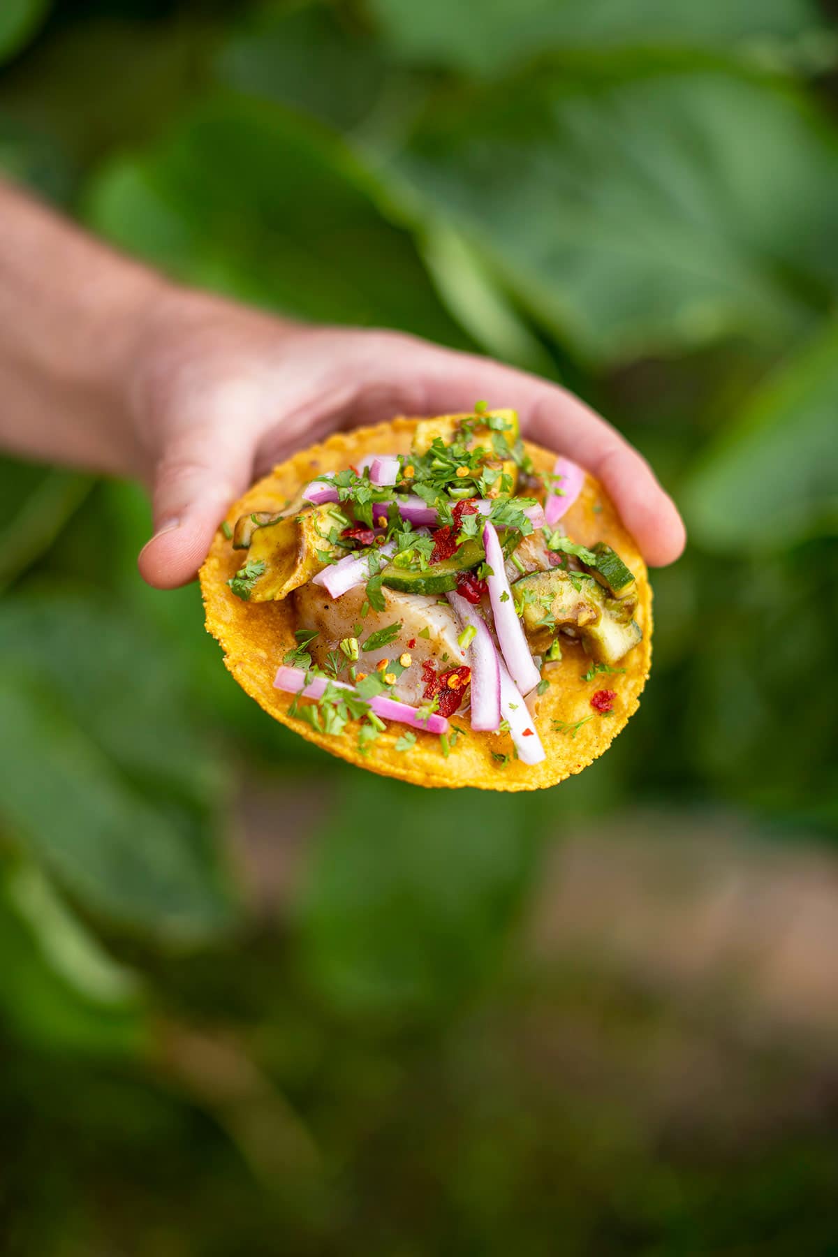 A serving of aguachile negro on a tostada