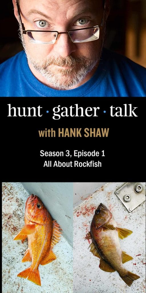 Podcast art for rockfish episode