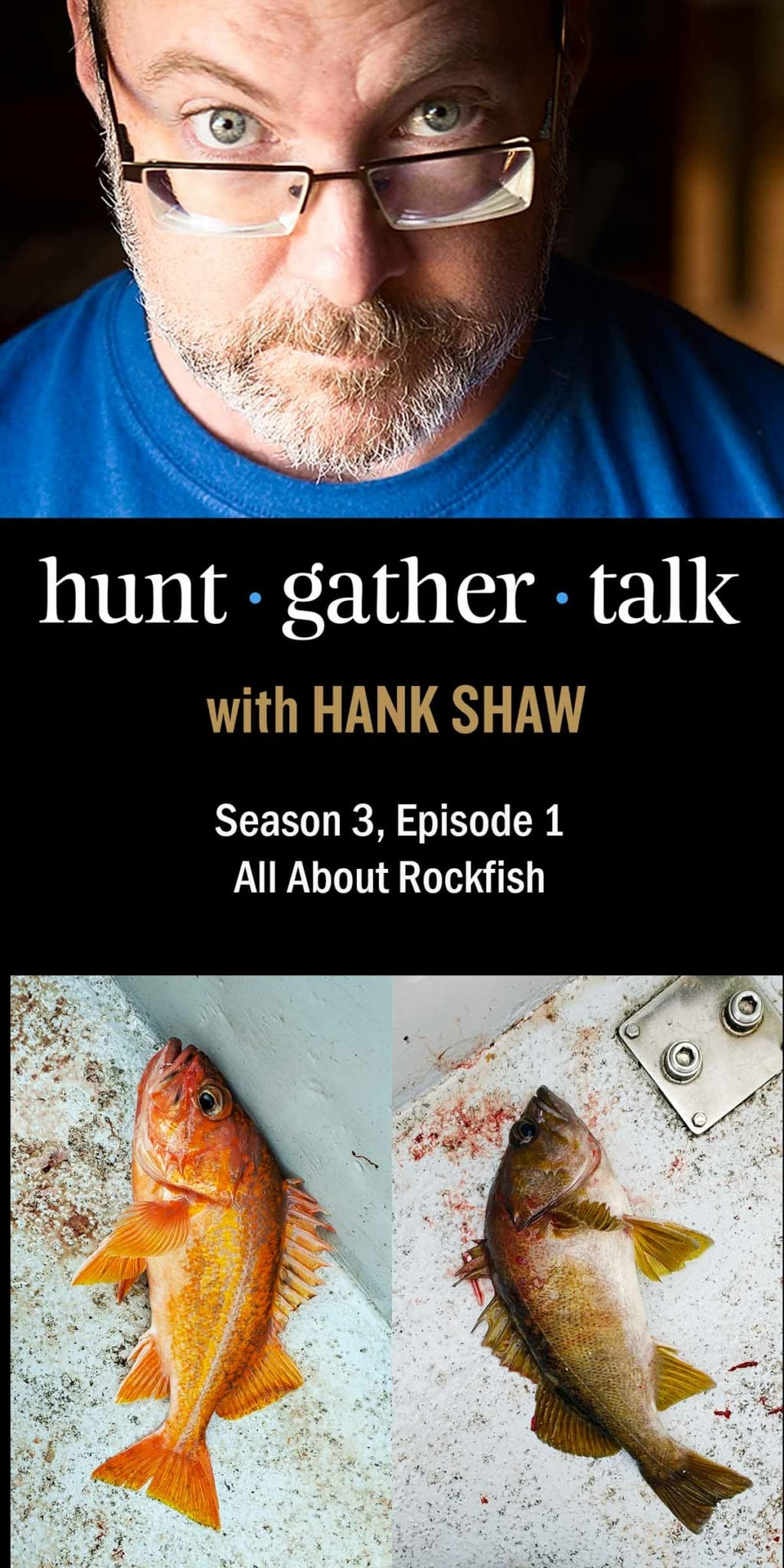 Podcast art for rockfish episode