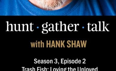Podcast art featuring Hank Shaw and burbot fish