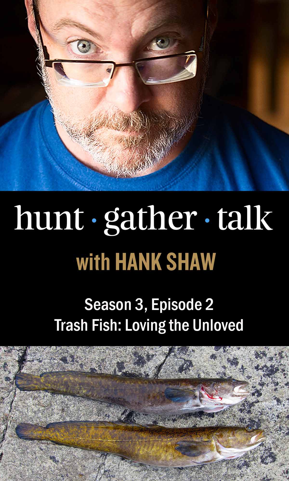 Podcast art featuring Hank Shaw and burbot fish