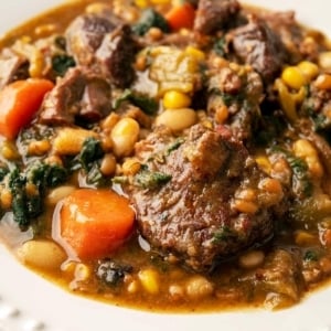 Image of elk stew in a bowl