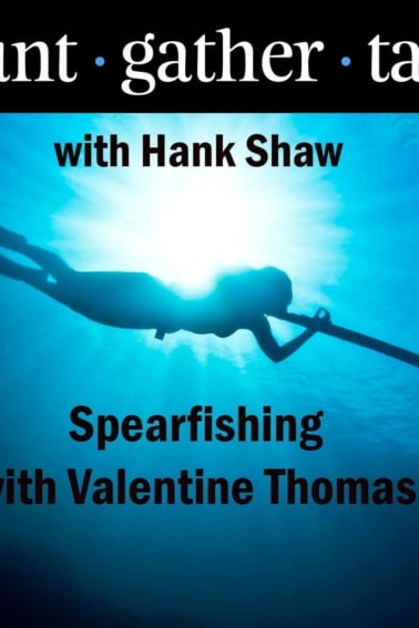 Podcast art for spearfishing episode.