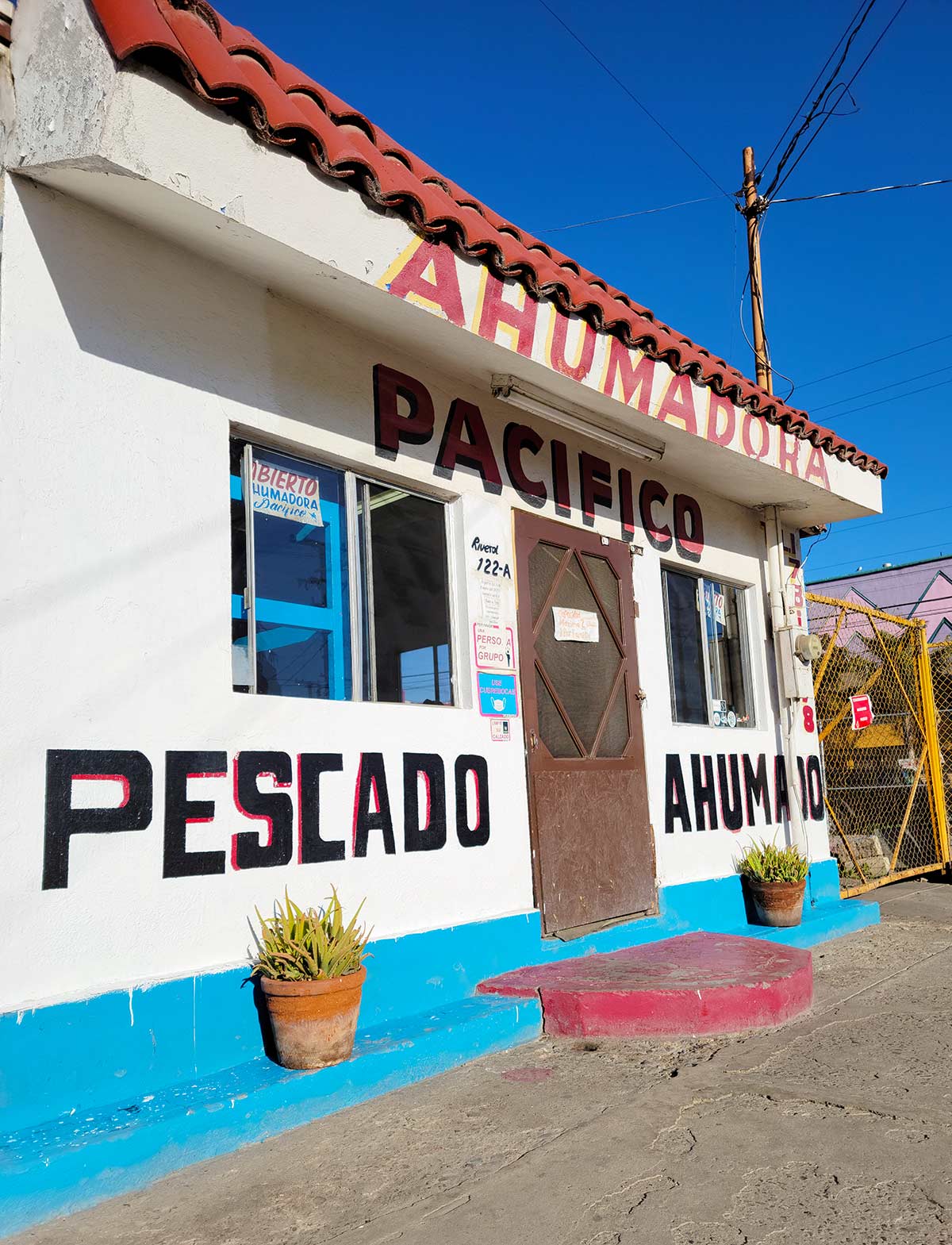 Ahumadora del Pacifico in Ensenada, Baja. 