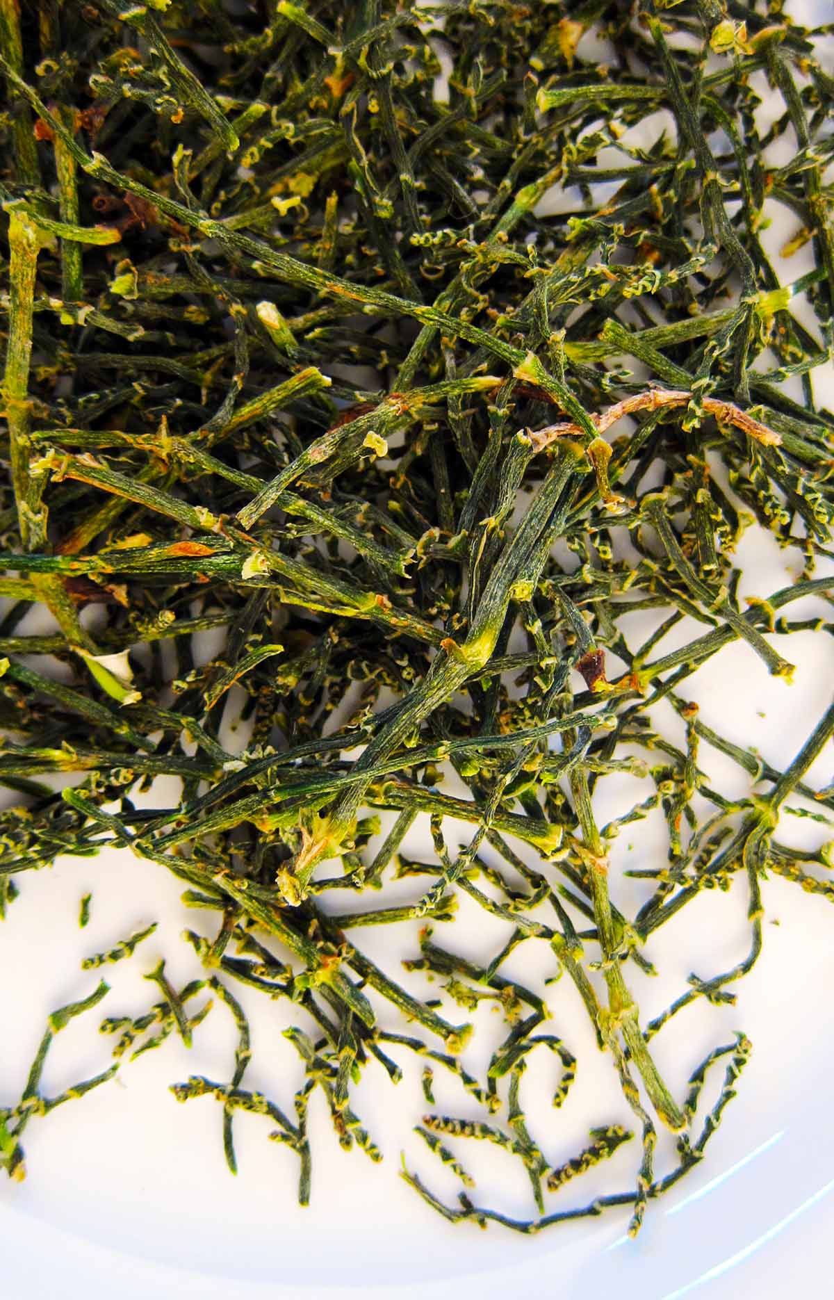 Dried salicornia (sea beans) ready to be ground into green salt. 