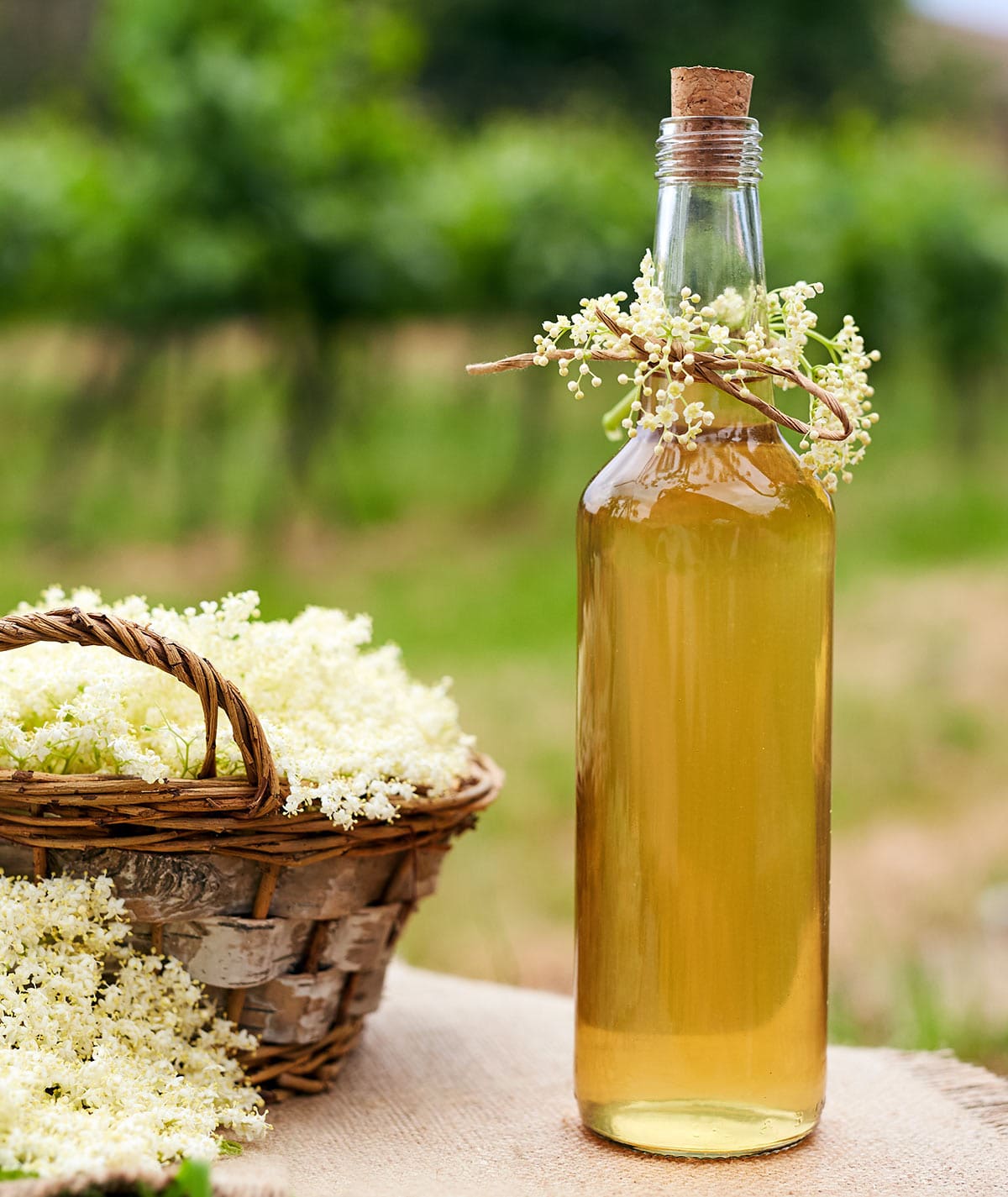 A bottle of elderflower liqueur with a basket of elderflowers next to it. 