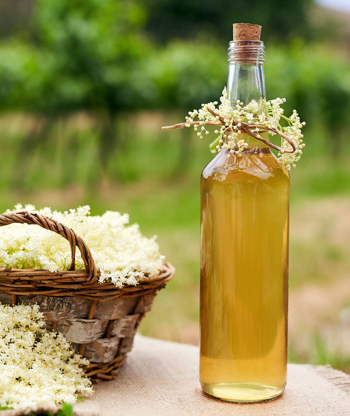 Homemade Elderflower Liqueur