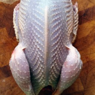 A plucked prairie chicken on a cutting board.