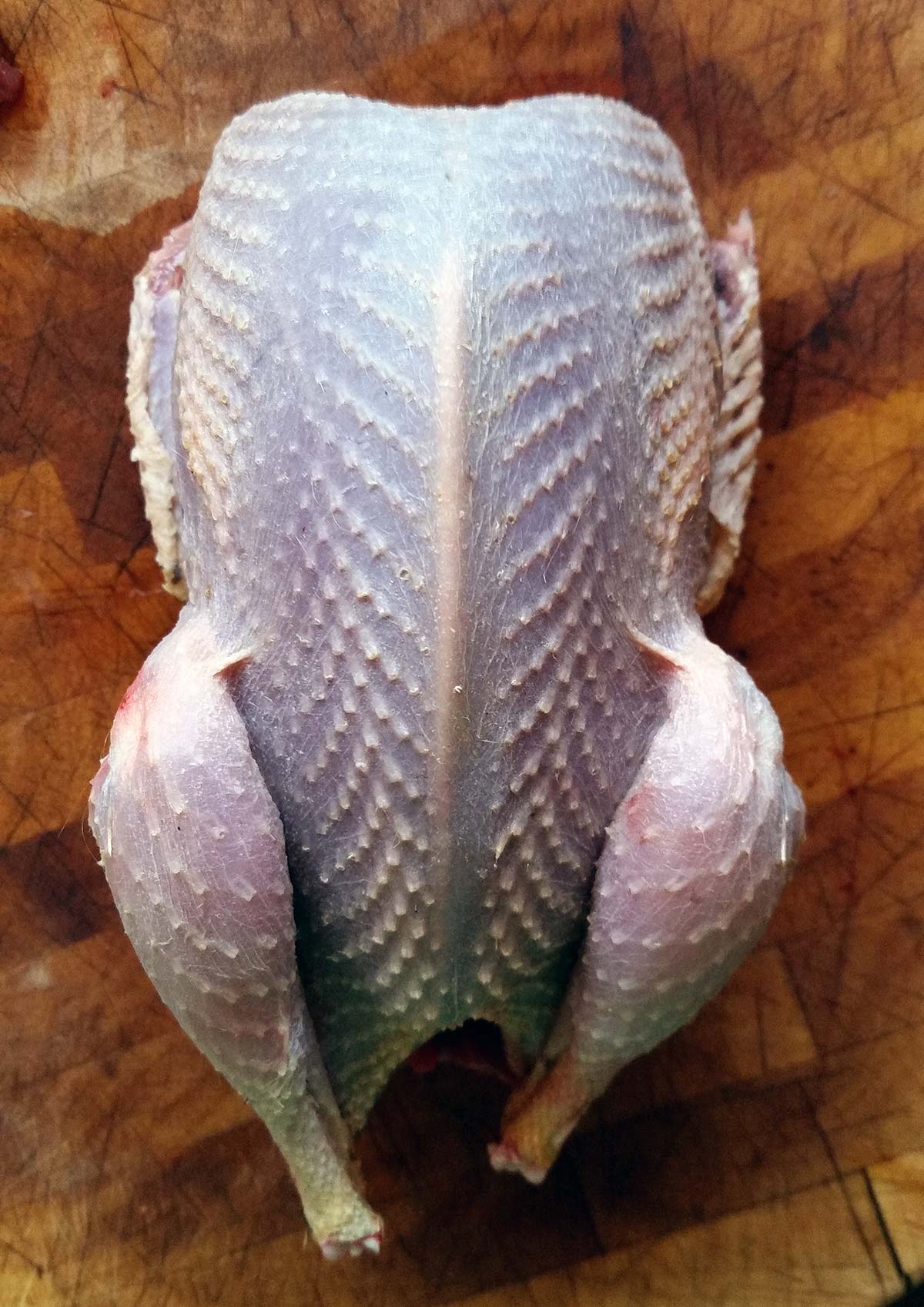 A plucked prairie chicken on a cutting board. 