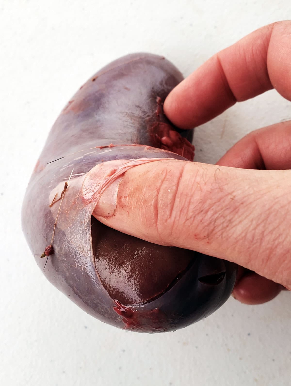 Removing the membrane from a deer kidney.