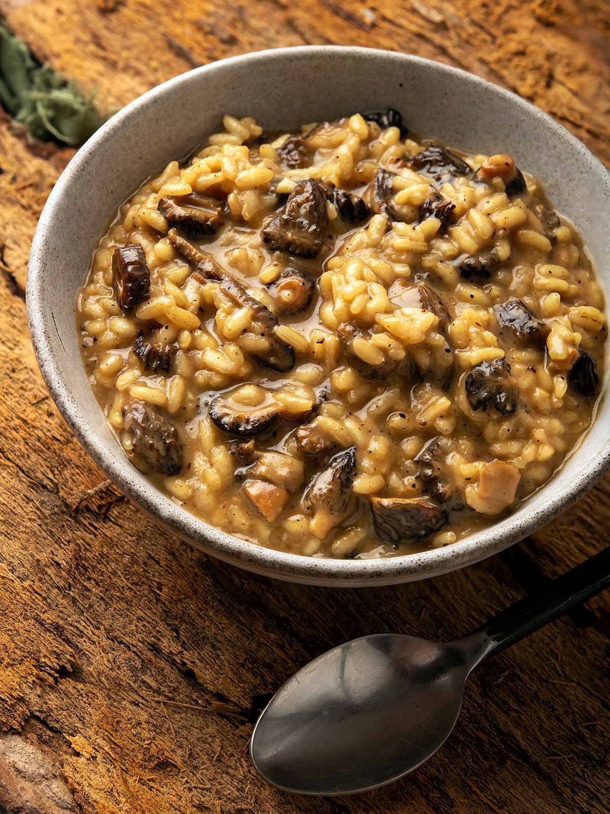 A bowl of morel mushroom risotto.
